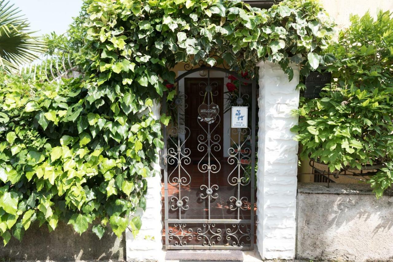 Apartments Villa Zara 로브란 외부 사진