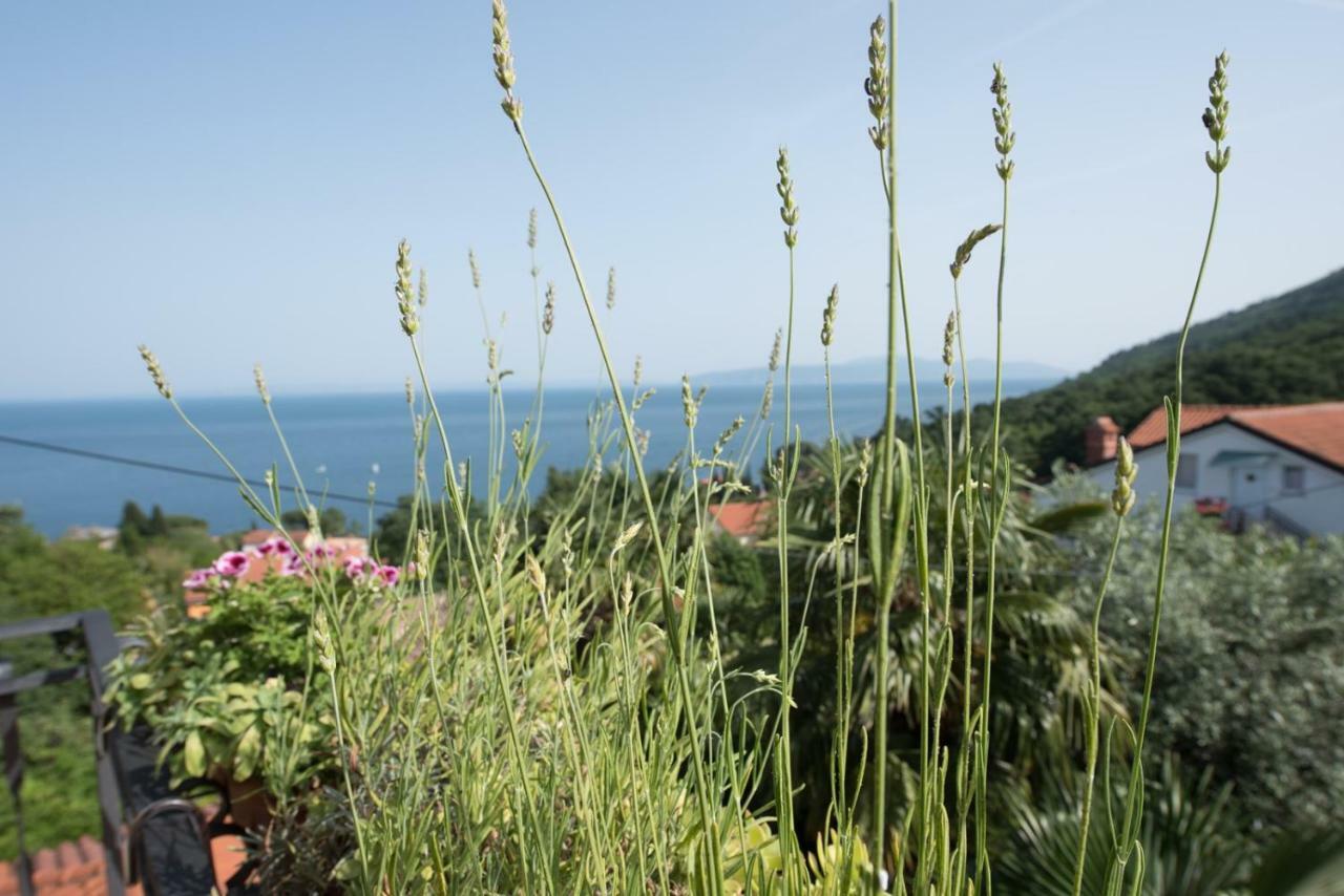 Apartments Villa Zara 로브란 외부 사진
